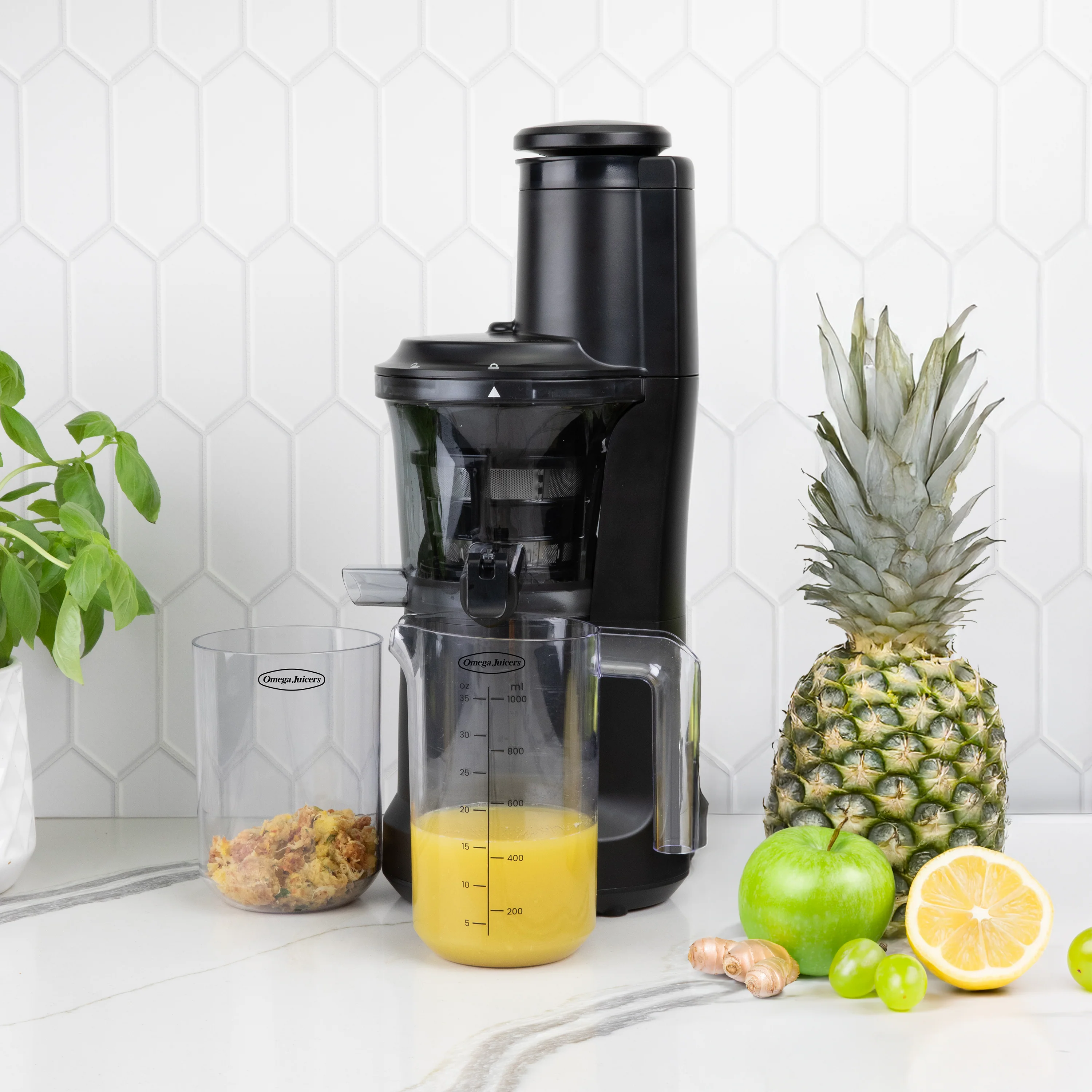 Low Speed, Vertical Juicers
